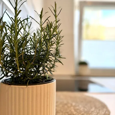 Stylische 2-zi-gartenwohnung Ronsdorf Wuppertal